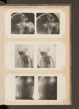 Tafel XXIII, Figur 13-15.