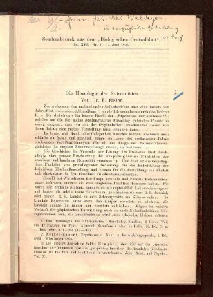 Die Homologie der Extremitäten