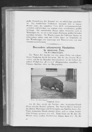 Besonders sehenswerte Neuheiten in unserem Zoo.