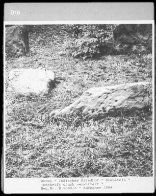 Fragment eines Grabsteins