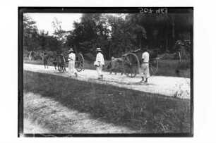 Umzug : Südthailand. Umzug durchs Gebirge mit Möbeln auf Karren, 1912/1913