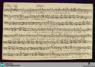 En triumphatores praeclaros - Don Mus.Ms. 225 : B, strings, brasses; D
