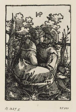 Liebespaar am Zaun