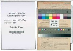 Entnazifizierung Peter Schmitz , geb. 08.01.1905 (Lehrer)