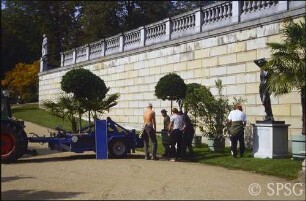 Potsdam, Park Sanssouci, Sizilianischer Garten, Vorbereitungen zum "Einfahren" der Kübelpflanzen in die Orangerie.