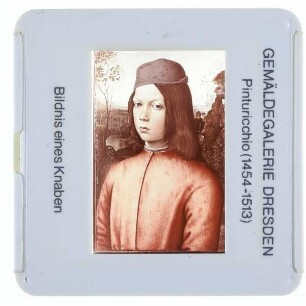 Pinturicchio, Bildnis eines Knaben