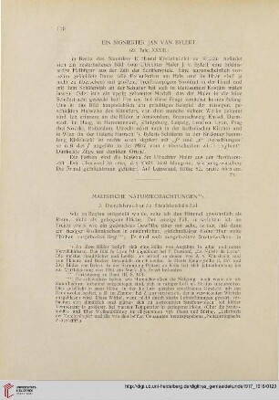 Malerische Naturbeobachtungen, 2 : durchbrechende Strahlenbündel
