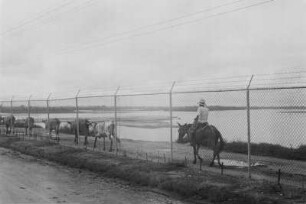 Raffinerie (Lateinamerika-Aufenthalte 1934/1942 - 2. Kolumbien 1934-1937)
