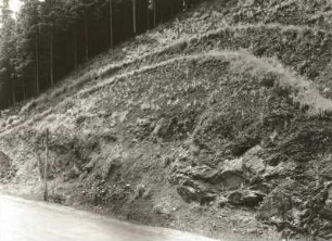Sächsische Schweiz. "Lausitzer Überschiebung" des Granits auf Sandstein an der Wartenbergstraße im Polenztal bei Hohnstein