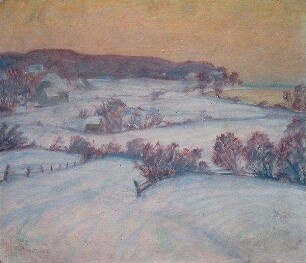 Blick auf den Kitzeberger Wald