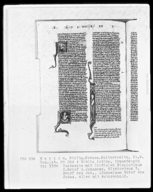 Biblia latina — ---, Folio 530versoBuchseite