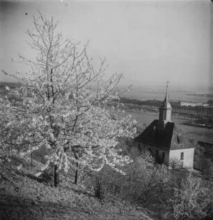 Weinbergkirche Pillnitz : Dresden-Pillnitz. Blick vom Pillnitzer Elbhang über die Weinbergkirche