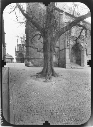 Erfurt : Domberg