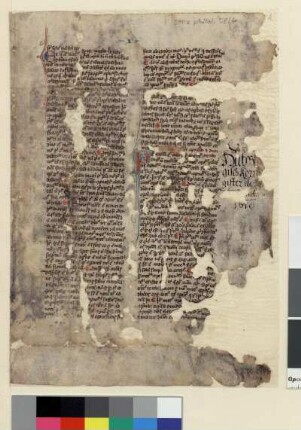 Thomas von Aquin: Summa contra Gentiles (Fragment)