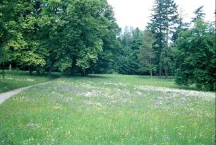 Schlosspark mit blühender Wiese, Bäumen