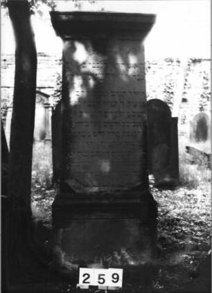 Grabstein 259 (Index: 99629760) Material: Sandstein Zustand: verwittert Maße HxBxT: 148x58x35 cm Beschreibung: Stele, Sockel, Giebel: Grabstein 259