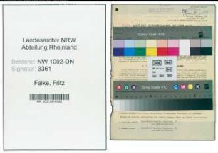 Entnazifizierung Fritz Falke, geb. 29.11.1896 (Werksmonteur)