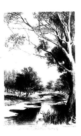 View on the River Maranòa