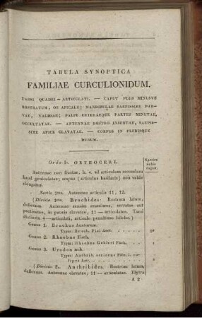 Tabula Synoptica Familiae Curculiondium.
