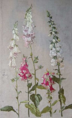 Blumenbild mit Fingerhut
