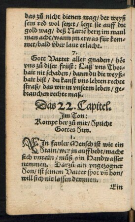 Das 22. Capitel.