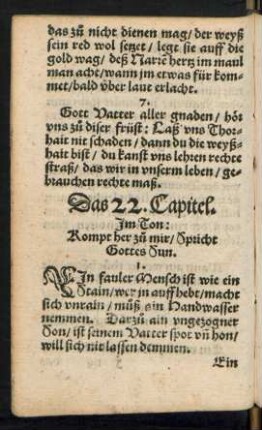 Das 22. Capitel.