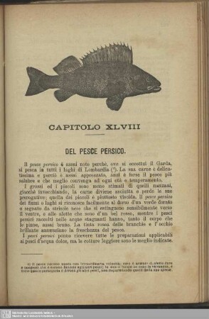 Capitolo XLVIII. Del pesce persico