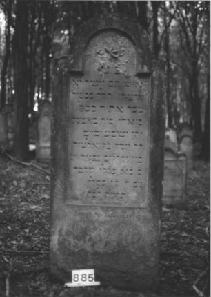Grabstein 885 (Index: 99899341) Material: Sandstein Zustand: an den Rändern stark verwittert Maße HxBxT: 193x78x18 cm Beschreibung: Stele mit eingezogenem Rundbogenabschluss, im Bogenfeld Stern Symbolik: Stern: Grabstein 885