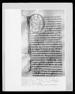 Homiliae Origenis — Initiale P (lura quidem), Folio 79 verso