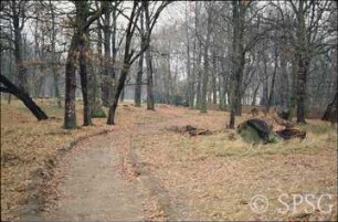 Potsdam, Park Sacrow, Weg zwischen Uferweg und Fährstraßenecke.