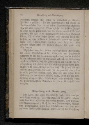 Anpassung und Konvergenz.