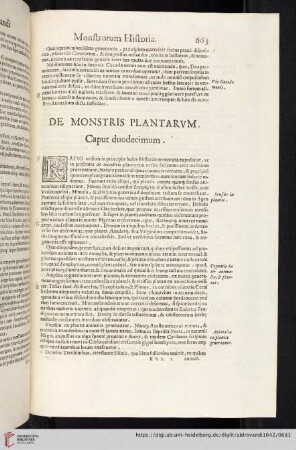 Caput duodecimum: De Monstris Plantarvm