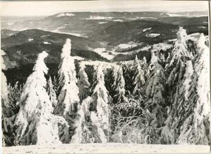 Blick auf das Seebachtal