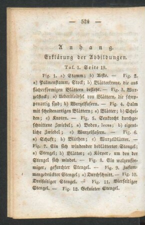 Anhang. Erklärung der Abbildungen.