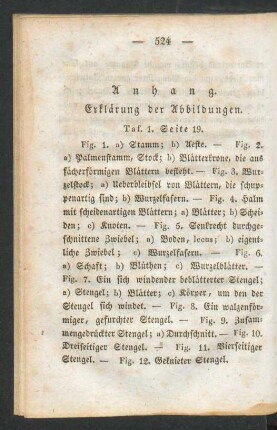 Anhang. Erklärung der Abbildungen.