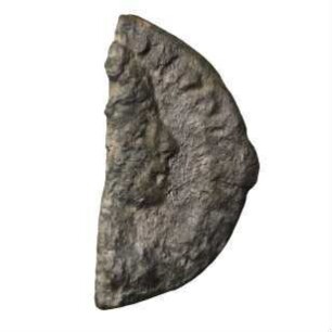 Fundmünze, Denar (ANT), 231 - 235