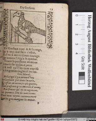 Du Gerfaux.