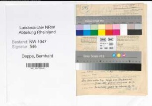 Entnazifizierung Bernhard Deppe , geb. 23.08.1892 (Haendler)