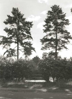 Rohne-Mulkwitz, Mühlroser Chaussee. Blick zum Denkmal für die im 1. Weltkrieg Gefallenen (nach 1918)