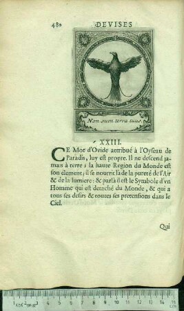 XXIII. Non sum terra tuus.