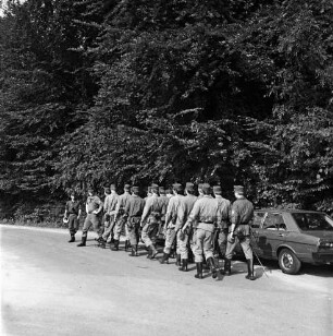 Polizei: Mord an Schülerin Marie Isabel Wellershaus am 19. Juni 1981: Krähenwald: Suchaktion der Bereitschaftspolizei Eutin nach Spuren: in der Mitte Suchmannschaft auf dem Weg in den Wald: hinten rechts parkender Pkw: dahinter Bäume