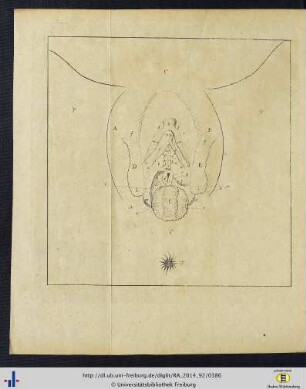 Tabula VIII.