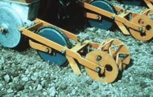 Fotografie: Sätechnik, Einzelkornsaat, Zuckerrübe