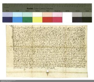 Hans Witzel verschreibt der Kalandsbruderschaft eine Rente aus seinem Haus und Garten [in Fulda]