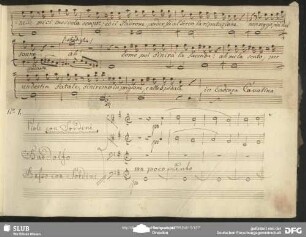 Cavatina: "Or ci siamo Padron mio"