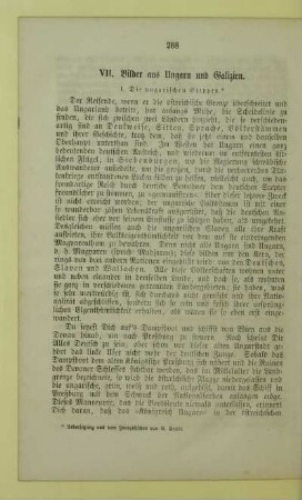 VII. Bilder aus Ungarn und Galizien