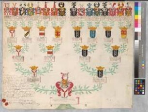 Proband: Romberg, Konrad Stephan von; Vater: Romberg, Otto Caspar von; Mutter: Neuhof, Philippina Adolpha Margaretha von: Mark, Grafschaft, Ritterschaft