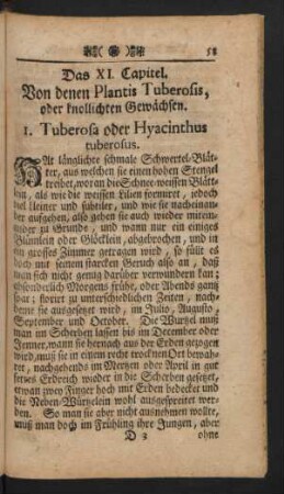 Das XI. Capitel. Von denen Plantis Tuberosis, oder knollichten Gewächsen.
