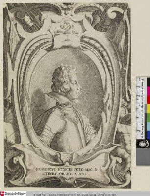 [Francesco de' Medici; Portrait de François de Médicis, prince de Capistran, décorant le discours à sa louange pronouncé par Vieri Cerchi]