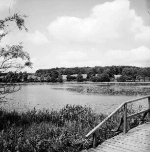 Herrenteich: vorne rechts Holzbrücke am Fischhuser Damm [angeschnitten], links Ufer mit Schilf, Zweige: im Hintergrund Westufer